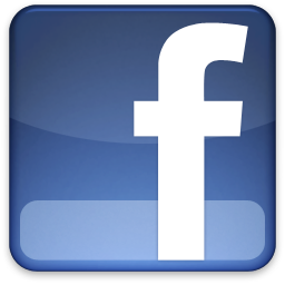 besuchen Sie Schwabenstreich Geigenbau auf Facebook